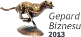 Gepard biznesu 2013